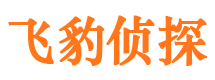 芙蓉外遇出轨调查取证